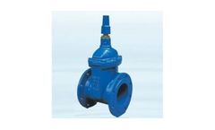 SMI - Model BS5163 PN10/16 - Resilient Wedge Gate Valves