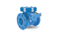 Hakohav - Model 604 - Swing Check Valve