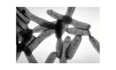 Remote Legionella Control