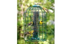 Audubon - Squirrel Resistant Caged Tube Feeder