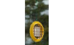 Audubon - Sunflower Suet Feeder