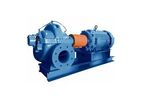Grundfos - Model PACO KP/KPV - Split Case Centrifugal Pump