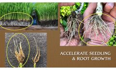 AgraPro Biostimulant & Soil Amendment - Video