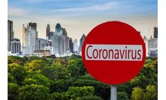 The Effect of the Covid-19 Pandemic on the Environment following One Year in Lockdown