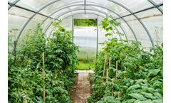 Simulating the Effect of Climate Change on Agriculture