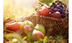 The Use of CO2 Monitoring in the Fruit Ripening and Conservation