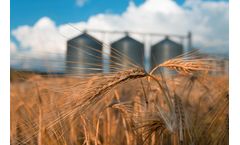 Improving Cereal Storage Facilities with Gas Sensing