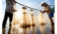 The Importance of Water Quality in Fish Farming