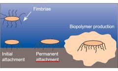 JC 9465 Biofilm and Biodispersant