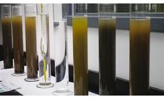 Eliminating Sludge Bulking with JC-9465