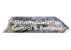 Jenfitch - Chemical for Struvite and Vivianite Control and Removal