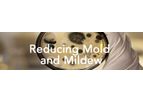 Jenfitch - Chemical for Reducing Mold and Mildew