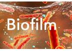 Jenfitch - Chemicals for Biofilm Removal