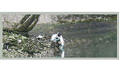 Waste & Contaminated Sites