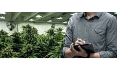 BioLargo Engineering - Cannabis Permitting Services