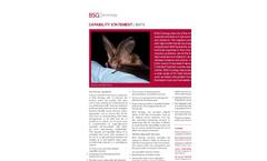 Bat Survey & Advice Specification
