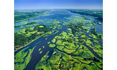 Microbial Biosensors for Watersheds