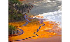 Microbial Biosensors for Polluant  Industries