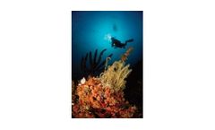 Marine Environmental Services