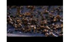 Liquisort Company - What we do Video