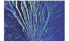 Lighthouse - Processing and Interpretation Services