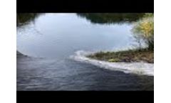 DRP at work in the German Black Forest - Video