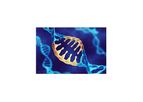 Cell and Gene Therapy Purification Solutions