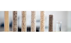Bioenergy - Thermochemical Biomass Conversion Technologies