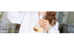 Bioenergy - Biomass Conversion - Biofuels Transportation