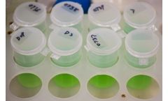 Troubleshooting Services