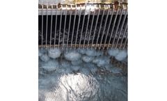 H2O Biofouling Bioprotect - Risk-Based Screening and Intake Protection System