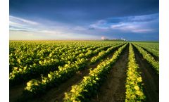 Technical Clay & Natural Solutions for agriculture industry