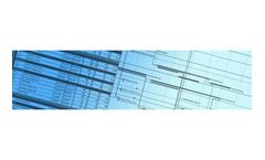 Program Management Services