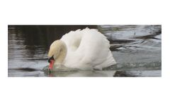 Environmental Thinking Services