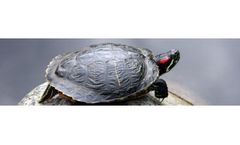 Environmental Monitoring Services