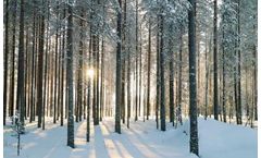 UPM joins PEFC as an international stakeholder