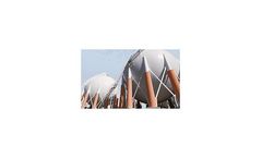 High-quality oil-free blowers and screw compressors solutions for chemical and process technology