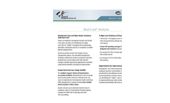 Real Cost Analysis Services Brochure