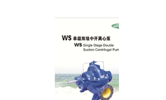 DeTech - Model WS Series - Split Case Pump - Brochure