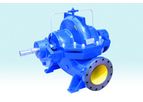 DeTech - Model WS Series - Split Case Pump
