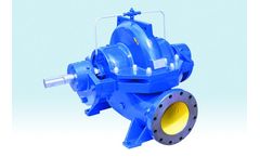 DeTech - Model WS Series - Split Case Pump