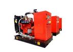 Camda - 30 KW Gas Generator