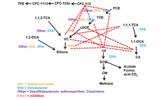 Chlorinated Solvent Remediation Technologies