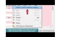 (RTE 1.7) Adding Columns to Borehole Data Tables Video