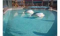 NoFloods Basic - Short Scale Flood Protection Barrier