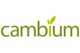 Cambium LLP