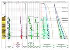 Pore Pressure Monitoring Software
