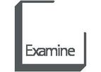 Examine - 3D Engineering Analysis for Underground Excavations