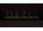 Combined Root- and Shoot-Phenotyping   System - Combined Root- and Shoot-Phenotyping   System
