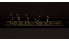 Combined Root- and Shoot-Phenotyping   System - Combined Root- and Shoot-Phenotyping   System